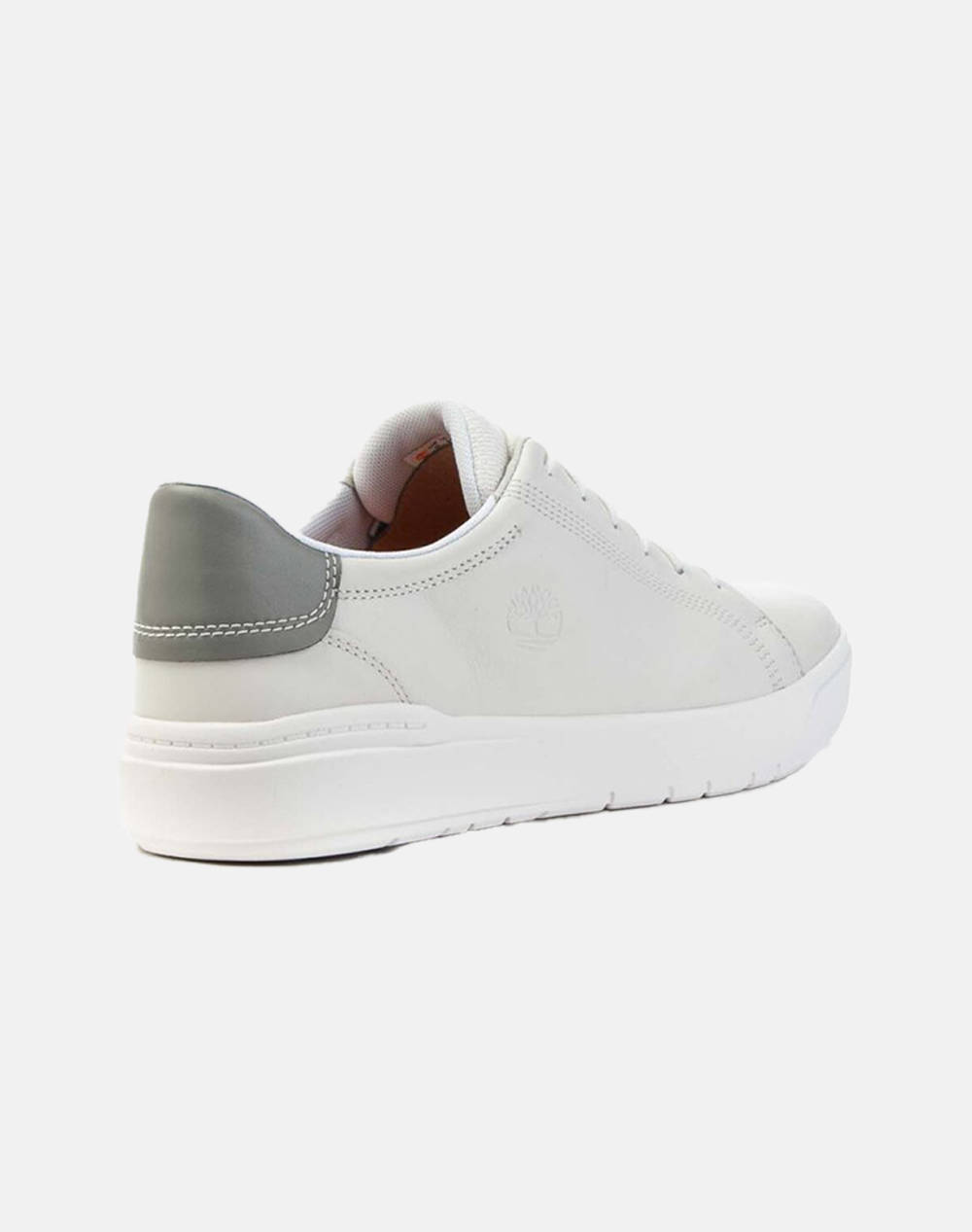 TIMBERLAND SEBY LOW LACE SNEAKER