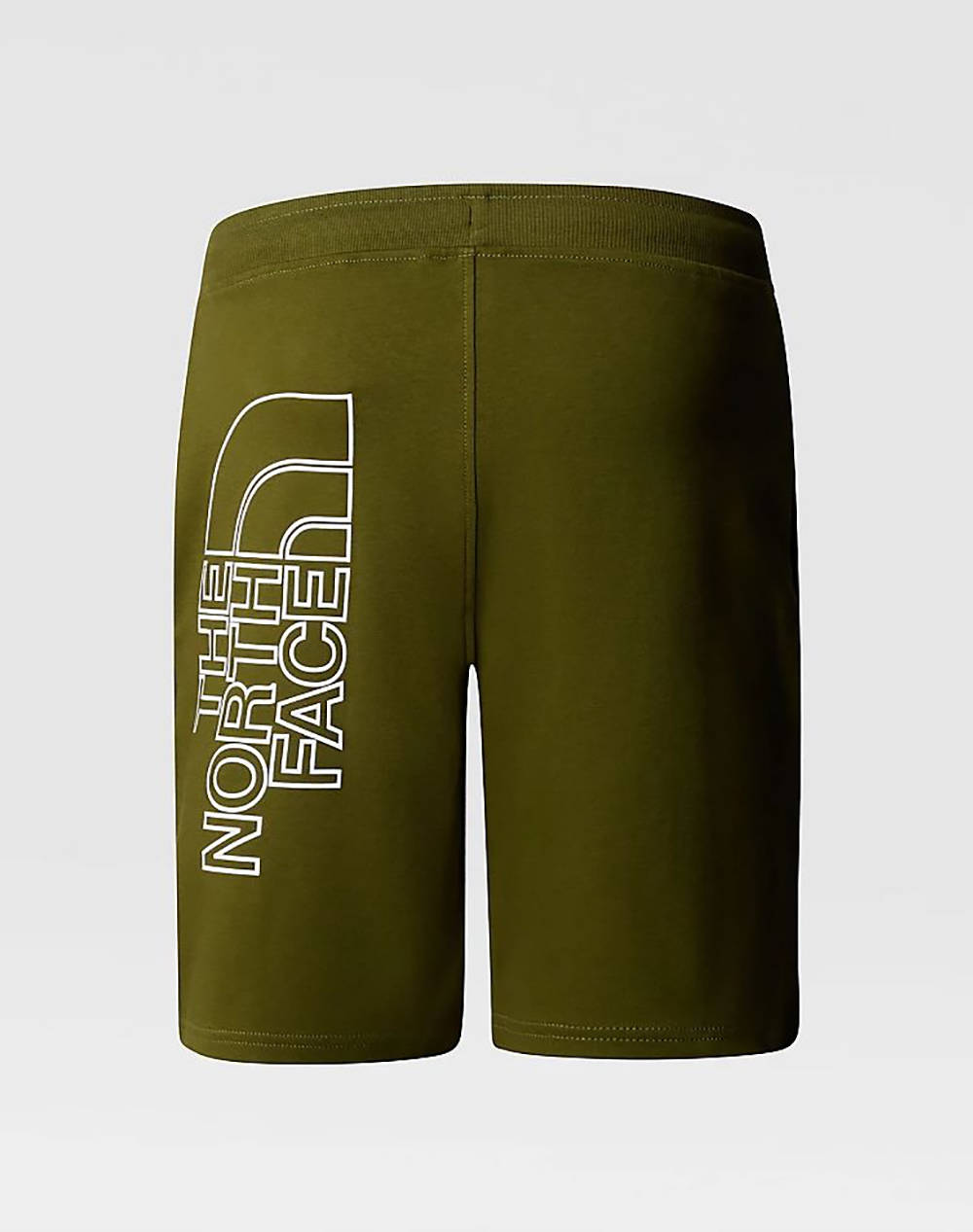 THE NORTH FACE M GRAPHIC SHORT LIGT