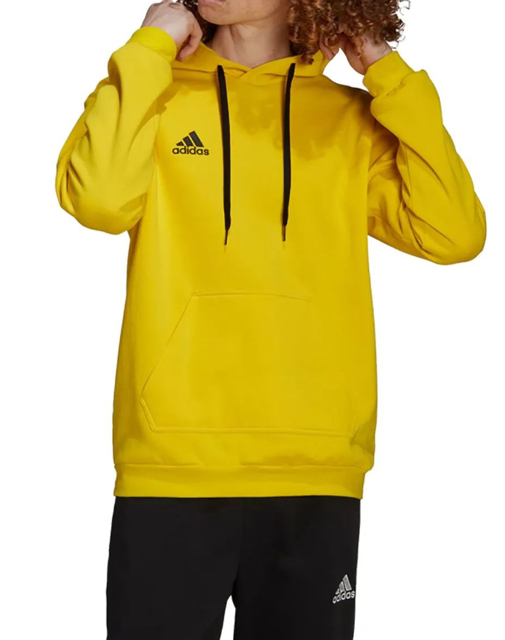 ADIDAS ENT22 HOODY