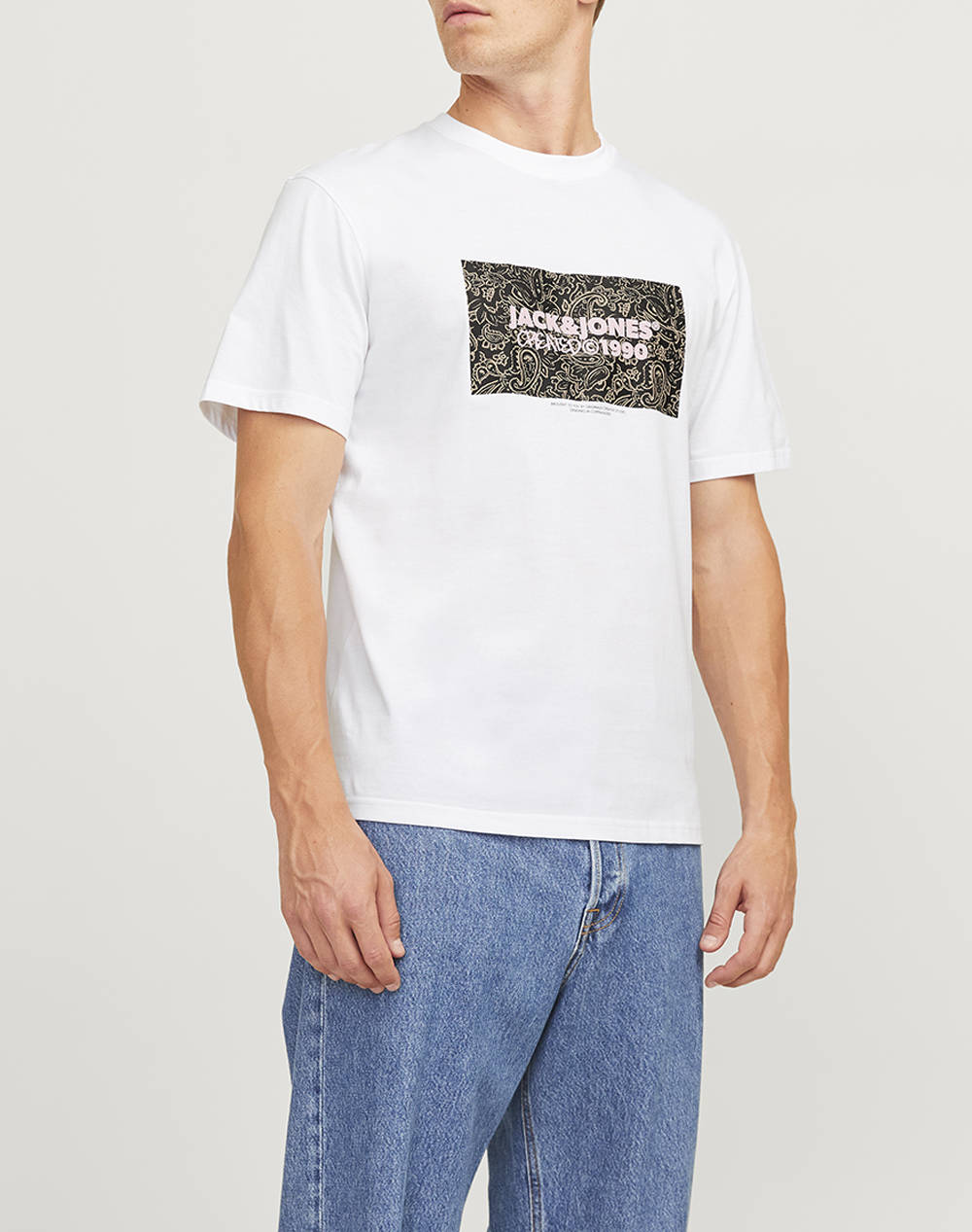 JACK&JONES JORBUSHWICK BOX TEE SS CREW NECK LN