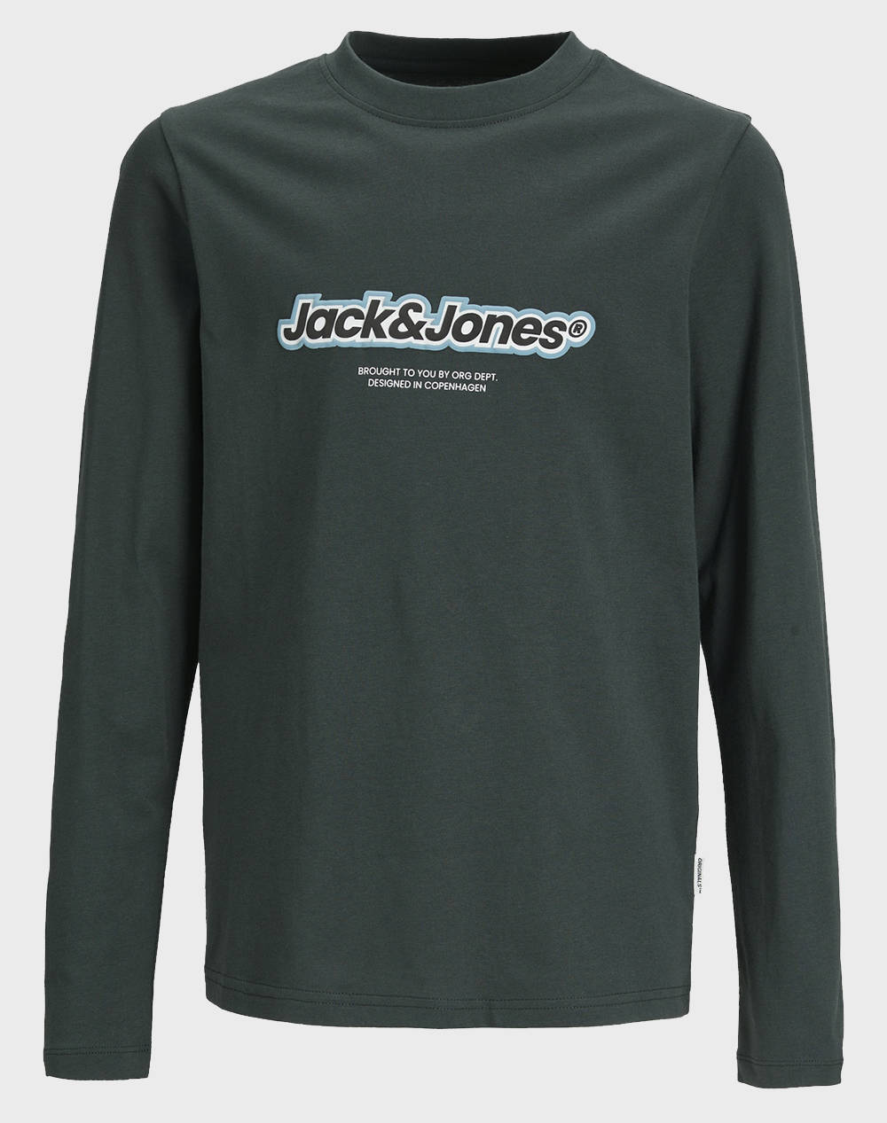 JACK&JONES JORVESTERBRO NEWTON BRNDG TEE LS BF JNR