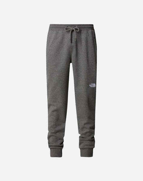 THE NORTH FACE M NSE PANT