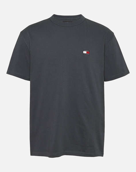 TOMMY JEANS TJM REG BADGE TEE EXT