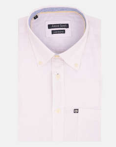 ASCOT SHIRT