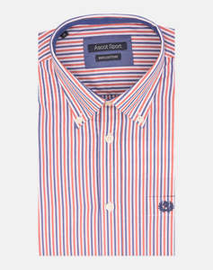 ASCOT SHIRT