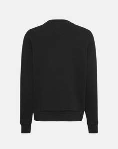 TOMMY JEANS TJW REG LINEAR CREW EXT