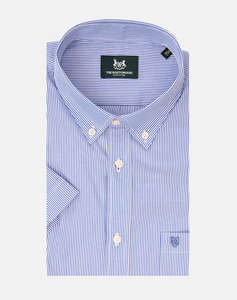 THE BOSTONIANS РИЗА ACORN POPLIN REGULAR FIT Stripe POPLIN Button-down Regular Fit