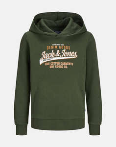 JACK&JONES JJELOGO SWEAT HOOD 2 COL 24/25 NOOS JNR