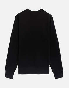 RALPH LAUREN LSCNM5-LONG SLEEVE-SWEATSHIRT