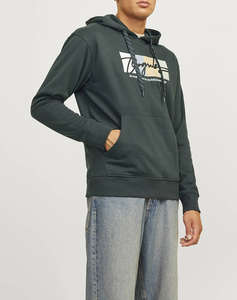 JACK&JONES JORPORTLAND BLOCK SWEAT HOOD LN