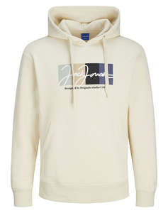 JACK&JONES JORPORTLAND BLOCK SWEAT HOOD LN