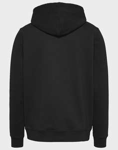 TOMMY JEANS TJM REG LINEAR LOGO HOODIE EXT