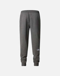 THE NORTH FACE M NSE PANT