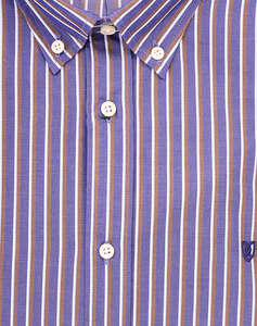 THE BOSTONIANS РИЗА ACORN REGULAR FIT Stripe POPLIN Button-down Regular FIT